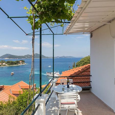 Apartments Miskovic Donje Celo 외부 사진